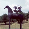 Zenith (cavallo), 1999
