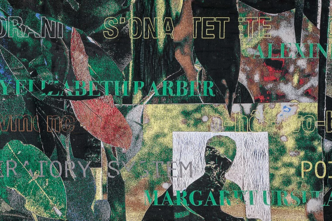 La desinenza estinta di Lucia Veronesi